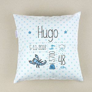 COJIN CUADRADO PERSONALIZABLE MI PIPO